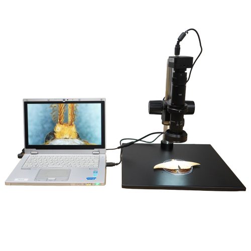 【SZS0650】単眼ズームデジタル顕微鏡／パラレル光学系／1x-Cマウント／LEDリングライト／標準スタンド／4Kカメラ