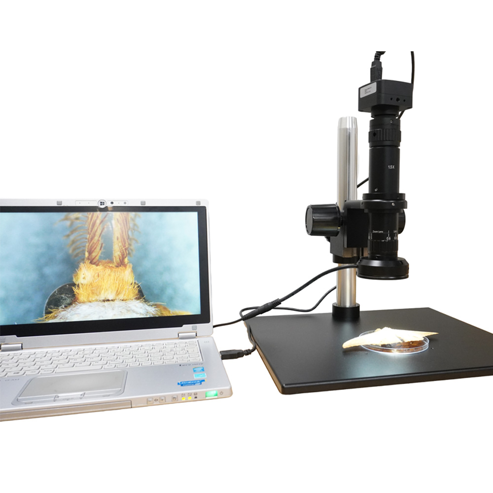 【SZS0650】単眼ズームデジタル顕微鏡/パラレル光学系/1x-Cマウント/LEDリングライト/標準スタンド/4Kカメラ - 画像 (5)